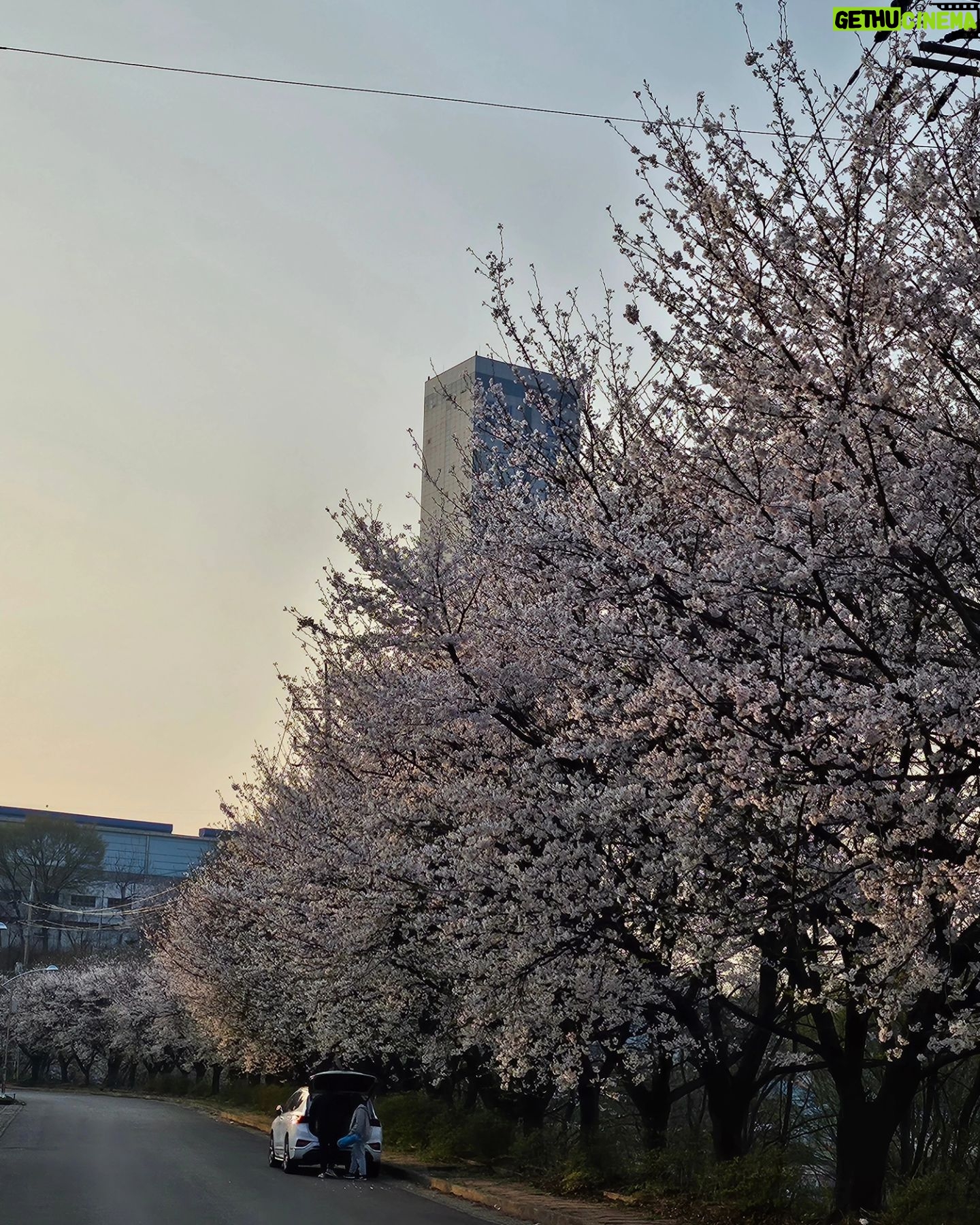 Sakura Miyawaki Instagram - 봄이다 🌸 새로운 이것저것
