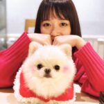 Sakurako Ohara Instagram - 2023年 ありがとうございました✨ 楽曲制作、舞台、ドラマ、ドラマ、楽曲制作、ライブツアー、そして舞台… 音楽も芝居も濃厚な一年でした 人生初の救急車も忘れません笑 2024年もどうぞ宜しくお願い致します🙇‍♀️ みなさま、よいお年を😌 福岡で出会った可愛いわんちゃんと♡📸