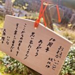 Sakurako Ohara Instagram - 映画「カノジョは嘘を愛しすぎてる」公開から10年 俳優デビューから10周年の本日12月14日 大原櫻子も10歳になりました🙃 絵馬の改行や日付の書き方ミスは相変わらずの私らしさですが、 この先の10年、そしてその先も、宜しくお願いします😌✨ #カノジョは嘘を愛しすぎてる #小枝理子