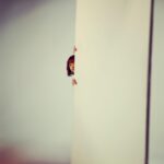 Sakurako Ohara Instagram - 舞台「おとこたち」 稽古始まっております🫣 写真フォルダを整理してたら、 「え… わたしはいつ、なんの黒いシミを撮ったんだろ…」 と思って、タップしたら、 こちらのお写真でした😂 ポスター撮りのオフショットの、わたしでした。笑 本当のポスター、皆様素敵に映ってる仕上がりなので、ぜひ見てください💦笑 #おとこたち #ユースケ・サンタマリア　さん #藤井隆　さん #吉原光夫　さん #橋本さとし　さん #川上友里　さん #大原櫻子