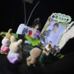 Sakurako Ohara Instagram – ミュージカル「この世界の片隅に」
濃厚な日々を過ごしております。
あっという間に
中日を超えました😳
綾ちゃんとのすず×リンは、本日、東京公演ラストでした🥺🌸
そして、周作さんと哲さんである、なおちー×唯君の組み合わせもラストということもあり、
記念写真撮りました🤳☺️
なんだか今は、切ない気分です、、🥺
初めてダブルキャストを経験する私からすると、なんだか不思議な気持ち。。
それだけ東京公演の場を踏んだってことですかねぇ。
あっという間、、
でもまた一緒に舞台立つ日は、すぐ来るので✨
新鮮に生きるのも楽しみ😌
舞台裏では、演出部のスタッフさんが、毎回可愛い掲示と、飾り物をしてくださってます🥰その様子もちょこっと載せときますっ♡
北條周作 役 #海宝直人 さん
白木リン 役 #平野綾 さん
水原哲 役 #小林唯 さん