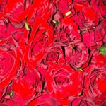 Salma Abu Deif Instagram - They smell nothing but LOVE ♾️🫀♾️ 🧩 🌹