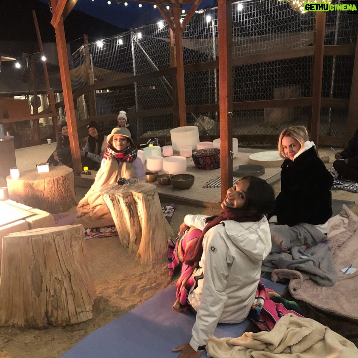 Samantha Logan Instagram - 10/27/19 ♏️🐺✨ yes, that is a wolf and yes I just spent my birthday with these beautiful creatures. what is my life? for real... thank you universe. I’m so thankful for everyone I got to share this day with, it really was the perfect way for me to go into my Jordan year (just learned this)! ❤️ #23 Let’s Do This 🎉 pc: @greta.onieogou
