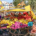 Samantha Vallejo-Nágera Instagram – Palacio. Mercado. Shopping.Comoda rica.Tuc tuc.Jaipur
Gracias @turkishairlines #widenyourworld #gift