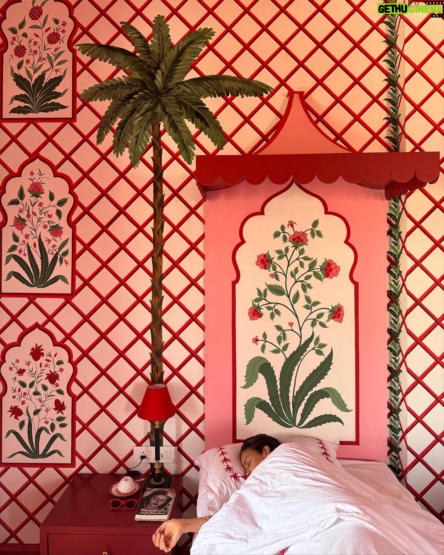 Samantha Vallejo-Nágera Instagram - Soñaba con conocer @villa.palladio.jaipur 🐓🦚❤️🐄👳🏽♀️🇭🇺
