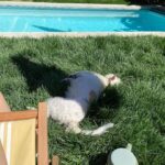 Samara Weaving Instagram - Sum things from around the house