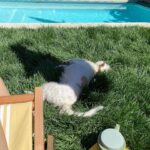 Samara Weaving Instagram - Sunday dump 💩