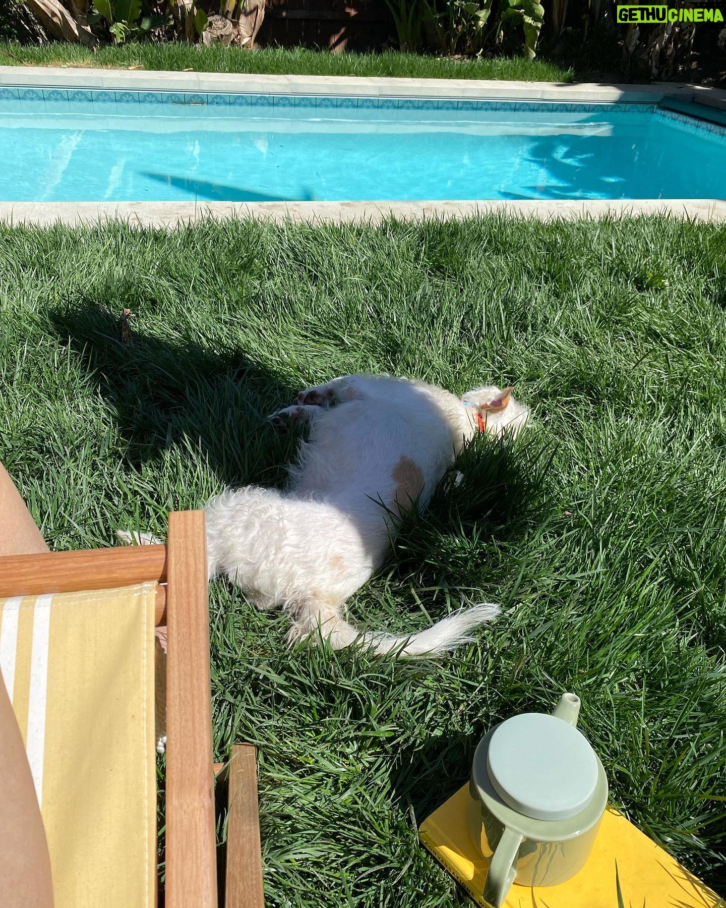 Samara Weaving Instagram - Sunday dump 💩