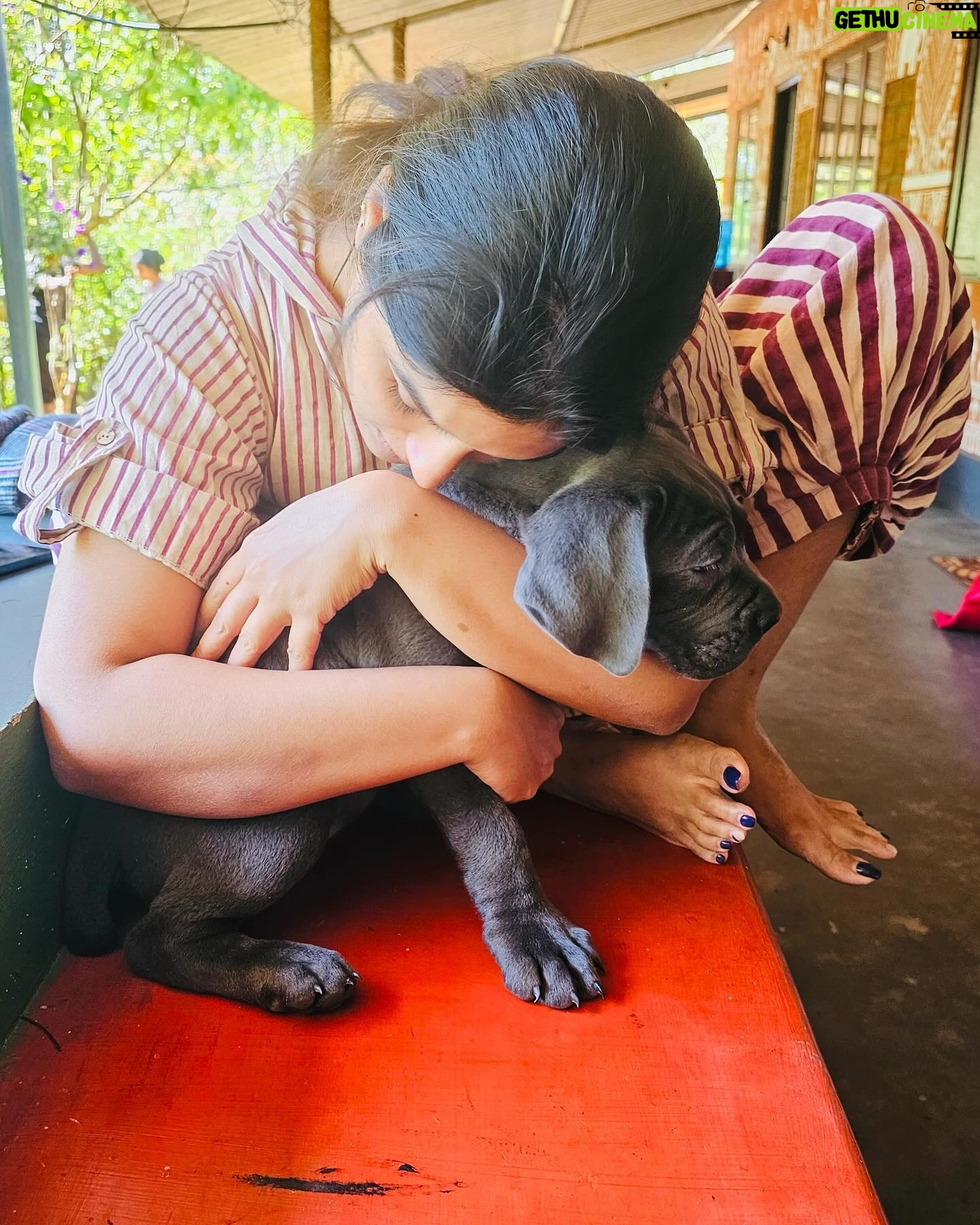 Samyuktha Instagram - RUDRA 🖤 Thank you for coming into my life 🐾