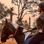 Samyuktha Instagram - 2024 embarked with a lot of learning about myself and about many things that makes life what it truly is. I have always been game for adventures in life. I never had a comfort zone because I always pushed myself to explore newer experiences 💫 As an actor, I am blessed to be able to experience different things on a daily basis. For my next movie, Swayambhu, I have been learning Horse Riding and trust me, it has been a spiritual and enriching journey. Being in harmony and synchrony with the Horse, looking deep into the Horse’s soul and make sure we are working together as a team is beautiful and liberating! I took each fall as a stepping stone and not as a hurdle. Here I am, your jockey Samyuktha with her beautiful🐴 ❤️ #NeverGiveUp #HorseRidingLessons #NewYearNewerExperiences