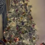 Sandy Jamal Instagram - شنو سوتلكم 2023🎄