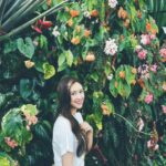 Sandy Wu Instagram - #sandywuofficial 本來想寫關於看了電影旺卡的心情，又想寫奧本海默給我的啟發，還想記錄一下關於休假心滿意足卻沒有補到元氣的矛盾，但最後還是決定寫一小段話給剛好讀到這篇文章人生正在不知所措的你。 我常想，若一切都是早就預定好的路線，那我們何需努力？何須計較？又何須如此在乎？但這一路的過程我們又怎麼可能毫無顧忌？除非，就像路過人間的歌詞說的「心中渺無人煙」但若真如此，那就完全無愛了。 無愛是恐怖的，是冰冷而銳利的；如果心裡深處還有一些在乎，那恭喜，你還是有愛的。愛不是天生的，是學習來的，因為體驗到愛的美好與溫煦，進而學習如何給予別人愛。所以很多時候不愛是困難的決定；決定不愛是下下策。 當走著走著，路線看似清明卻莫名崎嶇坎坷，在艱難的時候不禁充滿無以復加的嘆息，你問為什麼、你問怎麼會、你問為什麼是你⋯無聲，經常是最早得到的答案。我也走過那樣的日子，或大或小、或長或短，在死蔭幽谷或乾涸沙漠，難受的日子，而我得出的結果是⋯就讓子彈飛吧。 給這一切一些時間，給還沒預備好的你一些時間，讓事情發生，不要嘗試阻擋或介入，學會這件事或許更為重要。知道子彈已離開槍口，但在它真正打到標的物前，我們還是有安好的部分，再少，都還有安好的部分。 反正，事實上我們也沒有什麼辦法吧？無奈兩手一攤，至少要記得深深呼吸，你內裡的容量還是夠的，你的彈性還是夠的，最重要的不是生命不被擠壓，而是釋壓後復原的彈性，resilience is key。 And as for now, let it be. 認知自己的無能為力，就是經歷奇蹟的開始。 ❤️‍🩹 今天要聽：許慧欣的愛過以後