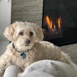 Sandy Yawn Instagram - Happy New Year to you all. May 2024 be filled with love, health and happiness! Oh, and remember to PLAY!! #havefun