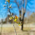 Sanna Marin Instagram - Spring moments.