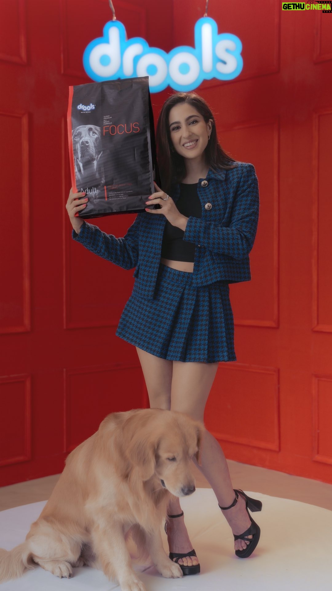 Sara Ali Khan Instagram - FOCUS on your dog’s health & well-being with @droolsindia 🐾❤️ Drools Focus Super Premium is a single grain formula, available for all ages- Starter, Pup & Adult to ensure your dog gets the right nutrition throughout its growth cycle 💪🏻 #petfood #nutrition #pets