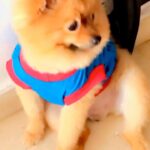 Sara Khan Instagram – Happy happy birthday my jaanu ❤️ my baby booo ❤️ thank you for coming in my life as a blessing ❤️ @hatchikokhan