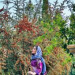 Sara Monjezi Instagram - این روز ها هم تمام میشوند وما برای زندگی، به شیوه ای که هرگز فکرش را نمیکردیم شدنی باشد خدا رو شکر خواهیم کرد...🌱
