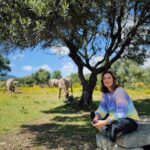Sara Prata Instagram - Mesmo aqui ao lado e nós não conhecíamos ♥️🌿 Tivemos um dia em grande e sem saber muito bem ao que íamos. Acabámos por descobrir os animais da quinta, os burros, as cabras, as ovelhas e tantos outros ao longo do caminho, fizemos uns 3/4 picnics (que isto de andar ao ar livre no meio da natureza dá fome), explorámos o trilho do Cuquedo sem apanhar nenhum susto porque a criançada nunca nos deixou parar no mesmo lugar 😂😂, e ainda alugámos bicicletas elétricas com atrelado para passear nos 380 hectares de natureza. Pelo meio tivemos direito a “descansar as pernas” num pedacinho de terra idílico, cheio de cavalos selvagens 🌿♥️ Que programinha perfeito. Fica a dica, e é de guardar: • Quinta do Pisão 😍