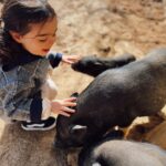Sara Prata Instagram - Andamos por Lavre ♥️ aqui pertinho do @sleepandnature descobrimos uma quintinha incrível na reserva animal Monte Selvagem. A Amélia só perguntava “posso ficar aqui tanto tempo o tempo todo?” 😂 não há palavras para o carinho que esta miúda tem pelos animais 🌿 agora a noite está a chegar e vamos regressar ao hotel, porque vamos ter lua cheia e aqui no campo a vista é bem privilegiada 🌕⭐️