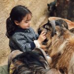 Sara Prata Instagram - Andamos por Lavre ♥️ aqui pertinho do @sleepandnature descobrimos uma quintinha incrível na reserva animal Monte Selvagem. A Amélia só perguntava “posso ficar aqui tanto tempo o tempo todo?” 😂 não há palavras para o carinho que esta miúda tem pelos animais 🌿 agora a noite está a chegar e vamos regressar ao hotel, porque vamos ter lua cheia e aqui no campo a vista é bem privilegiada 🌕⭐️