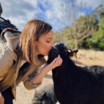 Sara Prata Instagram - Andamos por Lavre ♥️ aqui pertinho do @sleepandnature descobrimos uma quintinha incrível na reserva animal Monte Selvagem. A Amélia só perguntava “posso ficar aqui tanto tempo o tempo todo?” 😂 não há palavras para o carinho que esta miúda tem pelos animais 🌿 agora a noite está a chegar e vamos regressar ao hotel, porque vamos ter lua cheia e aqui no campo a vista é bem privilegiada 🌕⭐️