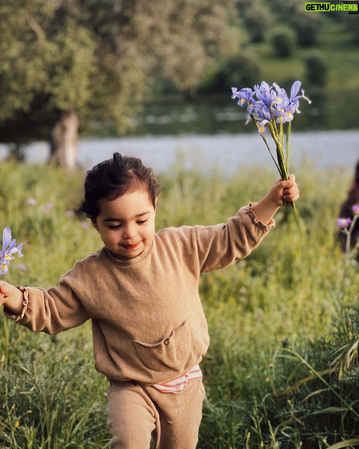 Sara Prata - 19.8K Likes - Estou feliz 🌿♥️ Dizem os locais que poucas foram as vezes que viram a Barragem assim tão cheia. Vim espreitar e não podia ter ficado mais encantada. Nunca tinha visto este lugar assim, com a água a chegar às oliveiras, que bonito. Aproveitámos para ficar a ouvir os passarinhos a voltar a casa ao final do dia e apanhar lírios no campo. E tudo porque choveu e transformou o Alentejo ainda mais belo. Cada vez mais apaixonada por este cantinho♥️🌿