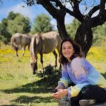 Sara Prata Instagram - Mesmo aqui ao lado e nós não conhecíamos ♥️🌿 Tivemos um dia em grande e sem saber muito bem ao que íamos. Acabámos por descobrir os animais da quinta, os burros, as cabras, as ovelhas e tantos outros ao longo do caminho, fizemos uns 3/4 picnics (que isto de andar ao ar livre no meio da natureza dá fome), explorámos o trilho do Cuquedo sem apanhar nenhum susto porque a criançada nunca nos deixou parar no mesmo lugar 😂😂, e ainda alugámos bicicletas elétricas com atrelado para passear nos 380 hectares de natureza. Pelo meio tivemos direito a “descansar as pernas” num pedacinho de terra idílico, cheio de cavalos selvagens 🌿♥️ Que programinha perfeito. Fica a dica, e é de guardar: • Quinta do Pisão 😍
