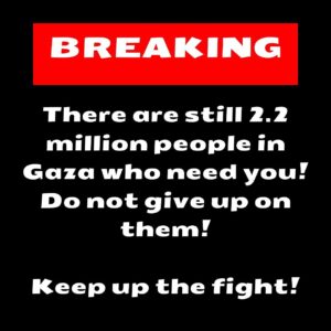 Sara Ramirez Instagram - 🚨BREAKING🚨

In moments of despair, you will feel depressed and lose hope but always remember there are 2.2 million people who are in desperate need of our help. 

We are the voice of the voiceless, we are the voice of the ones who cried and screamed in pain in front of the cameras. 

We won’t stop until we get a PERMANENT CEASEFIRE!! 

Keep protesting and boycotting! Keep raising awareness and educating others on this matter.
Keep carrying out call to actions!

We will not stop until Palestine is free and we see Israel being held accountable for this genocide and war crimes committed against the Palestinians.

🔝Click the Linktree in our bio to access petitions and pre-written letters 📩 One click and Send 🙌

#CeasefireNow #C2ANOW🇵🇸 #EndIsraelsGenocide