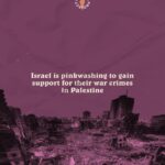 Sara Ramirez Instagram - NO PRIDE IN GENOCIDE. Israel’s pinkwashing campaign exploits LGBTQ rights to project a progressive image, while Israeli bombs and bullets kill queer Palestinians just the same. While there are certainly issues with being LGBTQ in Palestine, Israel’s propaganda ignores the reality of being part of the community in Israel, alongside the weaponisation of sexuality by the Israeli state to blackmail, abuse and intimidate LGBTQ people not only in Palestine, but around the world. No Pride in Apartheid. No Pride in Genocide. ___________________ #CEASEFIRENOW #EndImpunity #StopArmingIsrael #EndTheOccupation #FreePalestine #CommitteeToProtectJournalists #LGBTQ #LGBTQIA #LGBTQ #QueersForPalestine #ACTUP