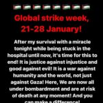 Sara Ramirez Instagram - CEASEFIRE NOW. Where are these people supposed to go? They are being bombarded and targeted wherever they go! Innocent lives, children. CHILDREN. Where is our humanity? Repost from @wizard_bisan1 Share this, let the whole world see, know and STRIKE.
