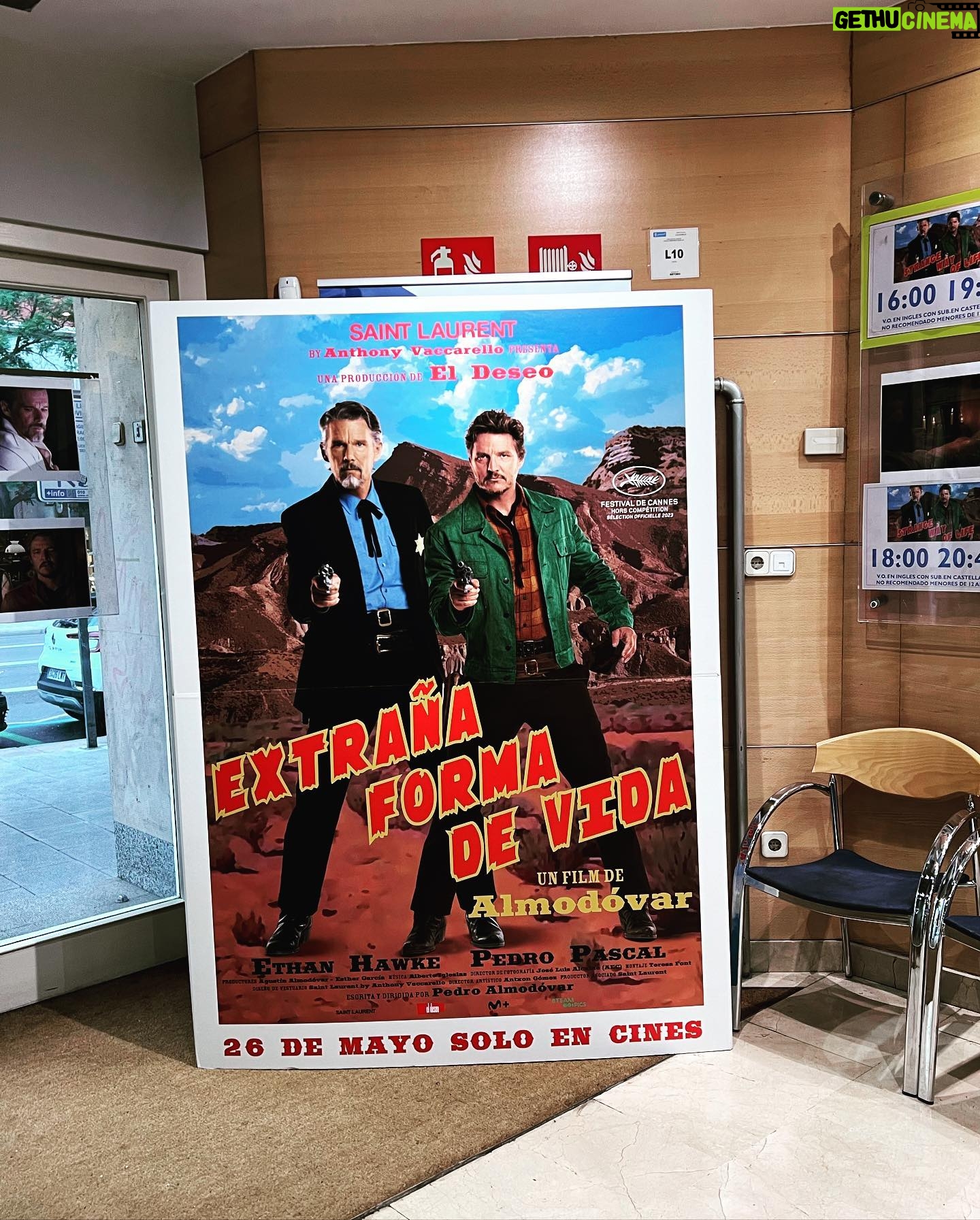 Sara Sálamo Instagram - AboutJornadaDeReflexion.