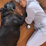 Sara Sálamo Instagram - Detrás de cada película que he rodado hay horas y horas dedicación. Preparar un personaje es sinónimo de esfuerzo y @aquarius_esp lo sabe con su lema #sudaresbello 💙 #ad