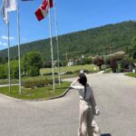Sara Waisglass Instagram - !!!! Neuchâtel