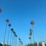 Sara Waisglass Instagram - took a hop skip n a jump into the arms of the west coasters I love the most. thank you for a beautiful weekend. I LOVE YOU. Los Angeles, California