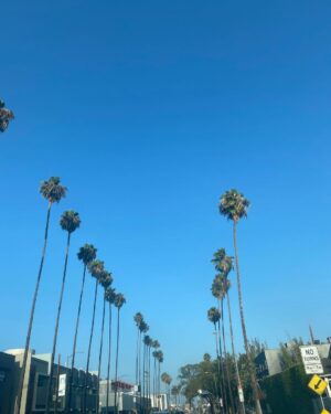 Sara Waisglass Instagram - took a hop skip n a jump into the arms of the west coasters I love the most. thank you for a beautiful weekend. I LOVE YOU.