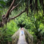 Sara Waisglass Instagram - anyone know a good song about a waterfall? Maui Hawaii