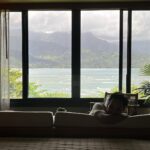 Sara Waisglass Instagram - thank you @1hotel.hanaleibay for the dreamiest few days. where did you buy your sheets from? I don’t want to sleep on anything else, ever. #1hotel #hanaleibay #kauai 1 Hotel Hanalei Bay