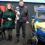 Sarah Ferguson Instagram - During my recent visit to Burnley, I was delighted to have the opportunity to meet some of the wonderful police dogs and horses of Lancashire Police Constabulary who serve the community alongside their officers. I am proud to be the Patron of the the National Foundation for Retired Service Animals, a charity founded by Lady Bathurst, which supports retired service animals and their families with vet and medical bills in their twilight years, when they might otherwise be rehomed or may not receive the treatment or care that they need. It was a pleasure to meet these extraordinary dogs and horses, who dedicate their lives to keeping us safe. To learn more, visit @nfrsa_official. Photo: @debbieharephotography