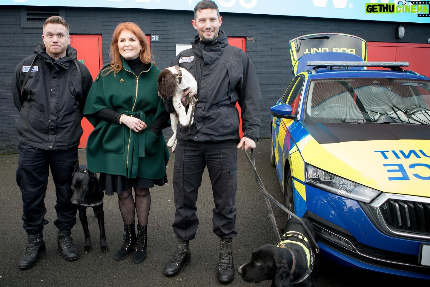 Sarah Ferguson Instagram - During my recent visit to Burnley, I was delighted to have the opportunity to meet some of the wonderful police dogs and horses of Lancashire Police Constabulary who serve the community alongside their officers. I am proud to be the Patron of the the National Foundation for Retired Service Animals, a charity founded by Lady Bathurst, which supports retired service animals and their families with vet and medical bills in their twilight years, when they might otherwise be rehomed or may not receive the treatment or care that they need. It was a pleasure to meet these extraordinary dogs and horses, who dedicate their lives to keeping us safe. To learn more, visit @nfrsa_official. Photo: @debbieharephotography