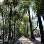 Sarah Gilman Instagram - wherever you go, there you are. even so, Mexico City is a wonderful place to be. more wonderful—colorful, welcoming, multidimensional—than i could’ve imagined.