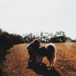 Sarah Gilman Instagram - 2024 began the way 2023 ended: with a stupidly big amount of love, gratefulness, and connection. the walks in nature helped, too. happy new year 💙