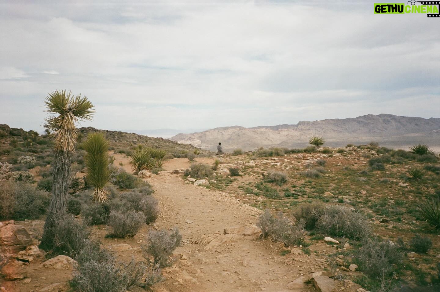 Sarah Gilman Instagram - my favorite form of procrastination is waiting months to develop film then seeing moments I completely forgot about