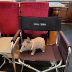 Sarah Gilman Instagram - so grateful and excited to be back on set with our csi: vegas family. season 3, here we come! 💍 new season, new episodes premiere February 18 on @cbstv and @paramountplus