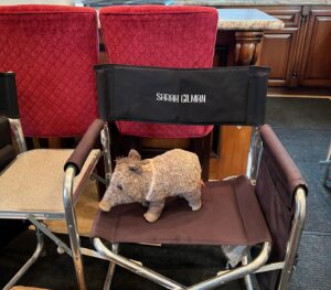 Sarah Gilman Instagram - so grateful and excited to be back on set with our csi: vegas family. season 3, here we come! 💍

new season, new episodes premiere February 18 on @cbstv  and @paramountplus