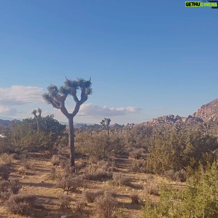 Sarah Gilman Instagram - “Periods in the wilderness or desert were not lost time. You might find life, wildflowers, fossils, sources of water. I wish there were shortcuts to wisdom and self-knowledge: cuter abysses or three-day spa wilderness experiences. Sadly, it doesn't work that way. I so resent this. The American way is to not need help, but to help. One of the hardest lessons I had to learn was that I was going to need a lot of help, and for a long time. (Even this morning.) What saved me was that I found gentle, loyal and hilarious companions, which is at the heart of meaning…” (Anne Lamott)