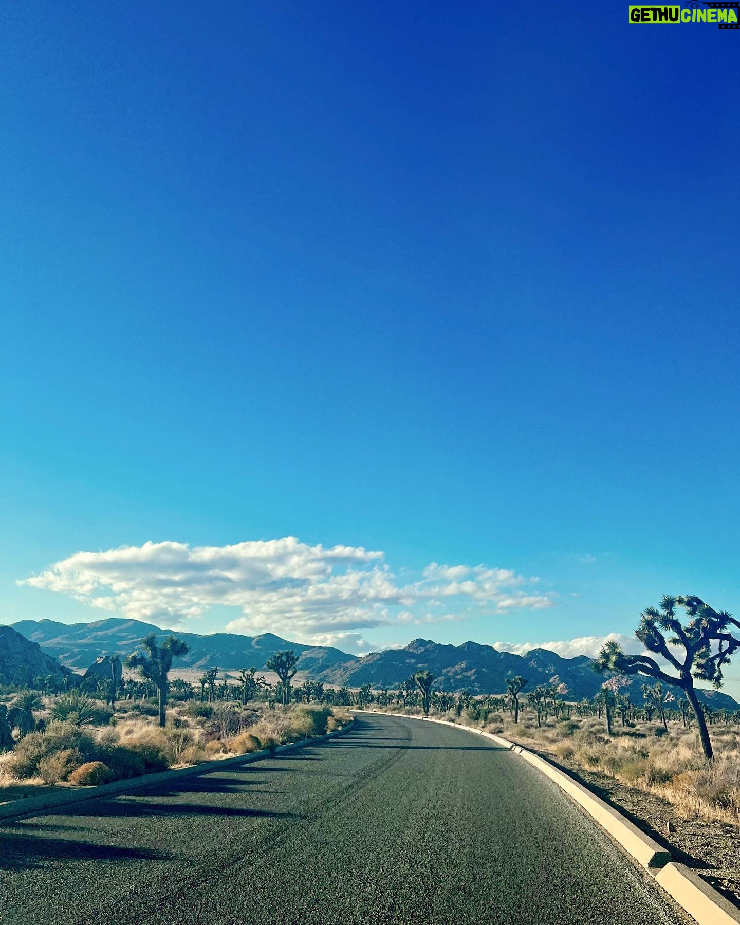 Sarah Gilman Instagram - “Periods in the wilderness or desert were not lost time. You might find life, wildflowers, fossils, sources of water. I wish there were shortcuts to wisdom and self-knowledge: cuter abysses or three-day spa wilderness experiences. Sadly, it doesn't work that way. I so resent this. The American way is to not need help, but to help. One of the hardest lessons I had to learn was that I was going to need a lot of help, and for a long time. (Even this morning.) What saved me was that I found gentle, loyal and hilarious companions, which is at the heart of meaning…” (Anne Lamott)