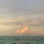 Sarah Levy Instagram - When you go to the Maldives on a work trip and you’re not the one working 😎