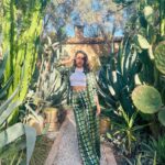 Sarah Perles Instagram - 🌵