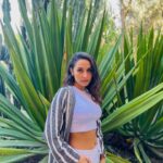 Sarah Perles Instagram - 🦚
