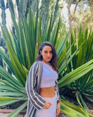 Sarah Perles Instagram - 🦚